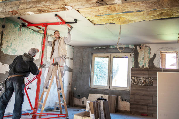 Best Insulation Replacement Services  in New Milford, NJ