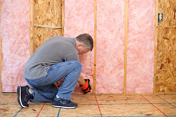 Best Insulation for New Construction  in New Milford, NJ